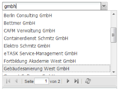 Screenshot Auswahlfeld