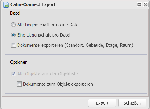 Screenshot des Optionsfensters zum CAFM-Connect Exports