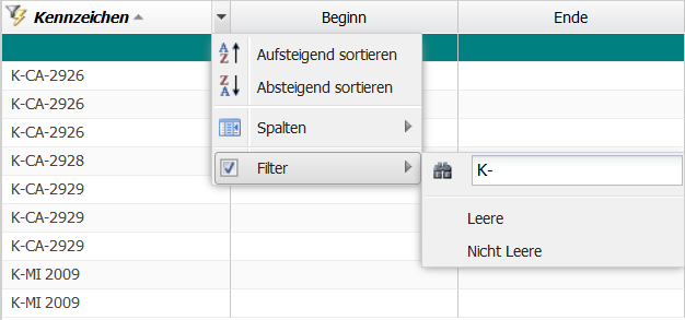 Ansicht der Fahrtenbuch-Tabelle mit geöffnetem Filter-Menü