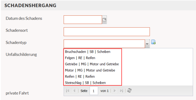 Screenshot des Asuwahlfensters der Schadenstypen mit roter Markierung