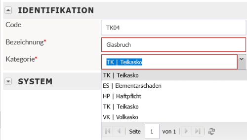 Beispiel für den Schadentypen "Glasbruch"