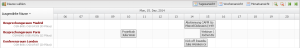 Screenshot der Ansicht des Raumbuchungskalender