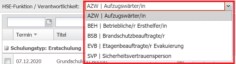 Screenshot des Auswahlfelds zur HSE-Funktion / Verantwortlichkeit